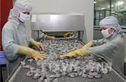 Đề nghị Australia bỏ lệnh cấm nhập khẩu tôm và thịt tôm chưa nấu chín